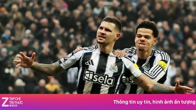 Mengapa Bruno Guimaraes merupakan pengganti yang sempurna untuk Casemiro?