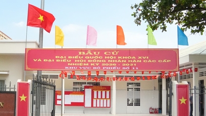 Hô Chi Minh-Ville : Préparation proactive de toutes les mesures nécessaires au bon déroulement des élections des députés de l'Assemblée nationale et des membres du Conseil populaire à tous les niveaux.