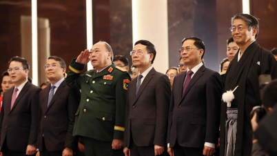 Japan is a leading and trusted partner in Vietnam's development era.