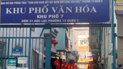 Ciudad Ho Chi Minh busca opiniones sobre la reglamentación relativa a los estándares para los títulos culturales.