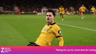 Wolves mirakulösa överlevnad i Premier League.