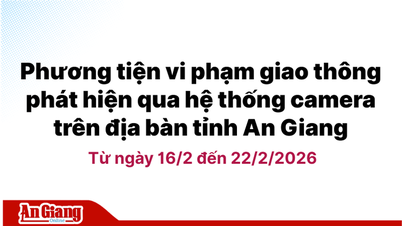 Pelanggaran lalu lintas yang terdeteksi oleh sistem kamera di provinsi An Giang dari tanggal 16 Februari hingga 22 Februari 2026.