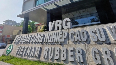 VRG での国有資産管理の実践経験から得た教訓。