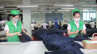 Постійно вдосконалювати та підвищувати якість експортованої продукції.