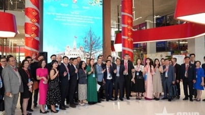 Vietnamské zahraniční zdroje v ekosystému startupů