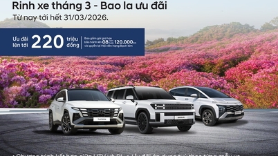 Hyundai Thanh Cong lanza un programa de doble promoción: garantía extendida y descuentos de hasta 220 millones de VND.