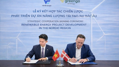 «ВінЕнерго» запускає свій перший міжнародний портфель відновлюваної енергетики потужністю 10 ГВт.