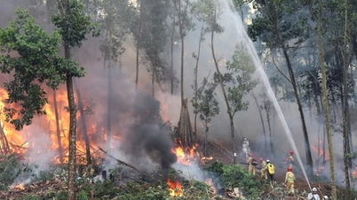 Hanoi houdt tijdens het festivalseizoen proactief toezicht op bosbranden.