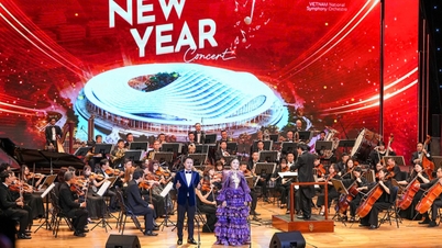 Der stellvertretende Premierminister Mai Van Chinh nahm an der Eröffnungszeremonie des Hoa Phuong Theaters in Hai Phong teil.