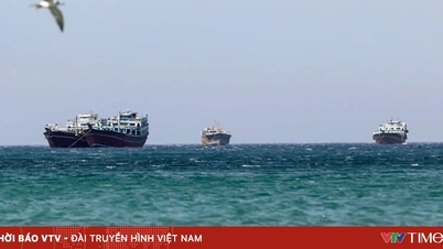 Mais de 10% da frota mundial de navios porta-contentores está retida no Estreito de Ormuz.