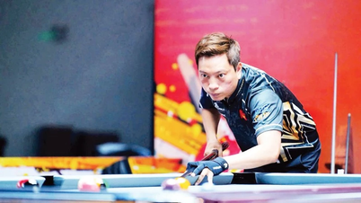 Vietnamese billiards affirms its position.
