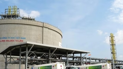 Proaktív reagálás és az energiaellátás fenntartása.