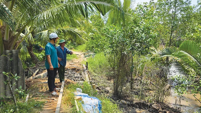 Mekong Deltası'nda heyelan önleme ve kontrol projelerine 29.907 milyar VND yatırım yapıldı.
