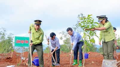 Planting trees at Thien An Mountain historical site, paying tribute to the patriotic scholar Huynh Thuc Khang.