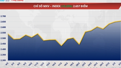 Brent petrol fiyatları yaklaşık %4,6 artarak varil başına 81,4 dolara yükseldi.