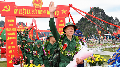 Quang Ninh : Près de 1 000 citoyens se portent volontaires pour s'enrôler dans l'armée.