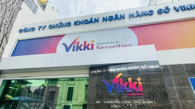 تغییر مالکیت در VikkibankS: یک "انتقال مالکیت" زیرکانه توسط سرمایه‌داران بزرگ.