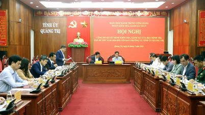 Bekanntgabe des Inspektionsbeschlusses bezüglich des Ständigen Ausschusses der Provinzparteikomitees von Quang Tri und Khanh Hoa.