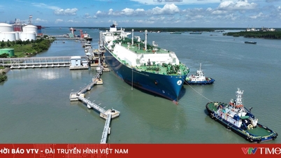 Vietnam Gas Corporation provides information on gas supply amid Middle East fluctuations.