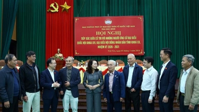 Os candidatos à Assembleia Nacional e ao Conselho Popular Provincial da Província de Bac Ninh realizam ações de divulgação junto aos eleitores em seus respectivos distritos eleitorais.