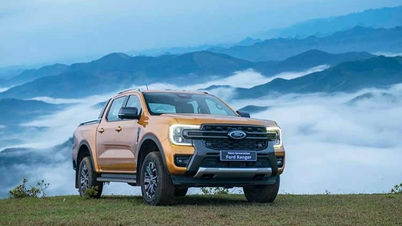 Ford Vietnam vergoedt 100% van de registratiekosten voor de Ranger Wildtrak en de Transit.