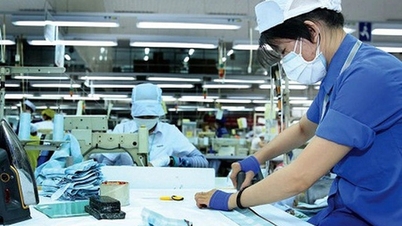 Jumlah bisnis baru meningkat lebih dari 70% meskipun libur panjang Tahun Baru Imlek.
