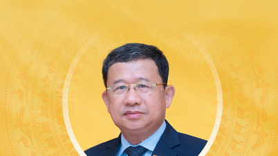 Biographie et programme d'action du candidat à la 16e Assemblée nationale de la province de Dong Nai - Membre du Comité central du Parti communiste vietnamien, secrétaire adjoint du Comité du Parti à l'Assemblée nationale, Vu Hai Ha