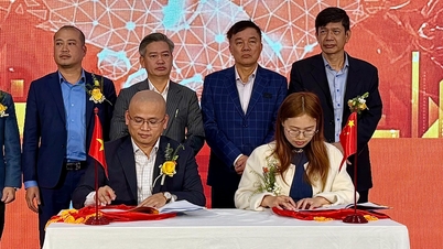 VJCO Group signerer strategisk samarbeidsavtale med Gotion High-Tech for å utvikle energilagringsinfrastruktur i Vietnam.