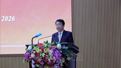 El Sr. Nguyen Thanh Binh fue elegido para el cargo de Presidente del Comité Popular de la provincia de Ninh Binh.