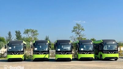 Preparations are underway to launch the first electric bus route in Dong Nai in March 2026.