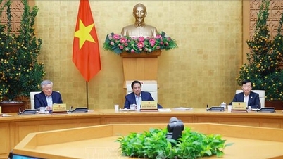 Premiärminister Pham Minh Chinh: Utveckla scenarier, reagera på situationen och se till att utvecklingsmålen uppnås.
