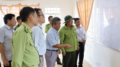 Inspectarea lucrărilor de prevenire și combatere a incendiilor forestiere în comuna Giang Thanh.