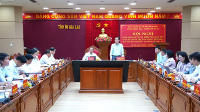 Annonce de la décision du Politburo d'inspecter et de superviser le Comité permanent du Comité provincial du Parti de Gia Lai.