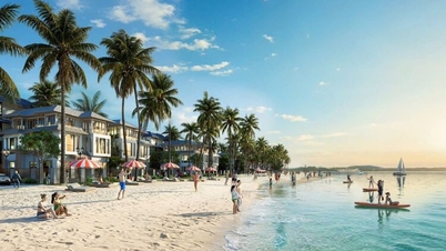 Grâce à une saison du Nouvel An lunaire particulièrement fructueuse, les 4 principales destinations touristiques du pays connaissent des développements notables.