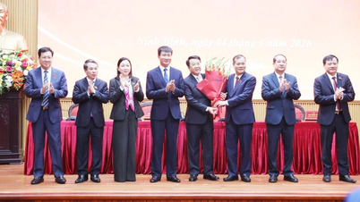 O Sr. Nguyen Thanh Binh foi eleito para o cargo de Presidente do Comitê Popular da província de Ninh Binh.