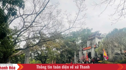 Festival Kuil Ba Trieu pada tahun 2026 akan diselenggarakan dalam skala provinsi.
