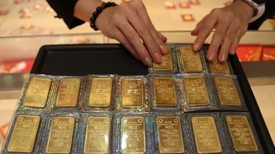 O preço das barras de ouro da SJC caiu 5,2 milhões de VND por onça em apenas um dia.