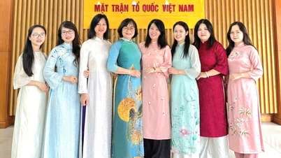 Ao Dai (Vietnam geleneksel kıyafeti) aracılığıyla kültürel diplomasi.