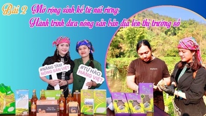 Pelajaran 2: Memperluas Mata Pencaharian dari Pegunungan dan Hutan: Perjalanan Membawa Produk Pertanian Lokal ke Pasar Digital