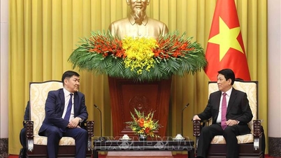 Prezydent Luong Cuong przyjmuje Prezesa Sądu Najwyższego Mongolii.