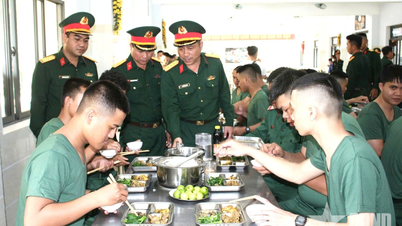 กองพันที่ 971 กองบัญชาการทหารเมืองดานัง: การต้อนรับทหารใหม่ด้วยความทุ่มเทและเอาใจใส่