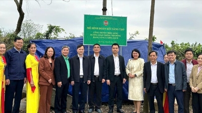 Bat Trang: Instalarea de semnalizare pentru un proiect de iluminat rural alimentat cu energie curată.