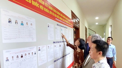 Distrik Bach Mai menyebarkan semangat demokrasi dan tanggung jawab menjelang hari pemilihan.