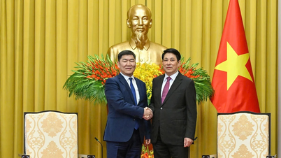President Luong Cuong tar emot chefsdomaren i Mongoliets högsta domstol, Ganzorig Damdin