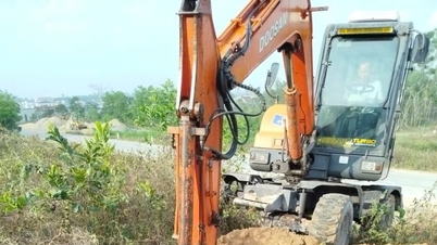 Hoang Mai district proactively controls African swine fever outbreak.