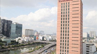 国際基準を満たす金融人材の質の向上。