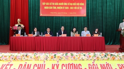 Calon-calon untuk Majlis Rakyat Wilayah bagi penggal 2026-2031 telah bertemu dengan pengundi dan berkempen di komun Nhat Hoa.