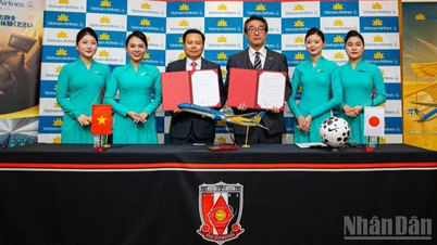 Vietnam Airlines spolupracuje s japonským fotbalovým klubem Urawa Red Diamonds.