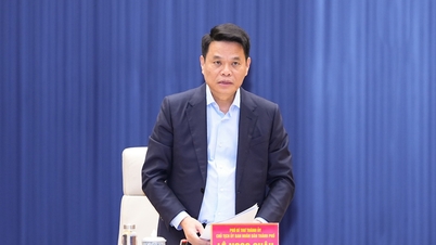 Wat beloofde de voorzitter van de stad Hai Phong toen hij zich kandideerde voor een zetel in de 16e Nationale Vergadering?