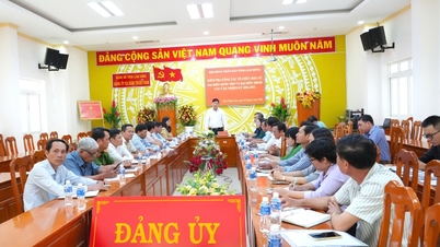 Lam Dong İl Halk Konseyi, Ham Thuan Nam beldesinde seçim hazırlıklarını denetledi.